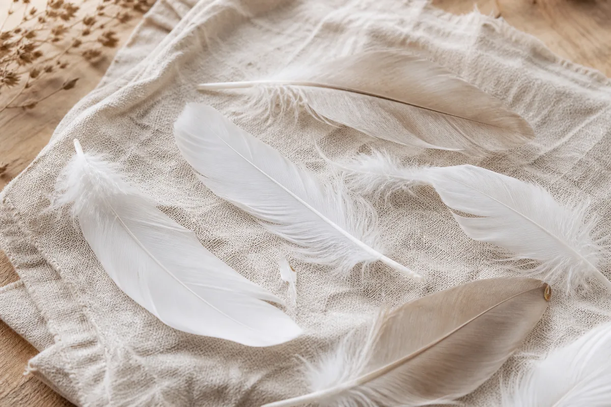 Plumes d’oie blanches et beiges étalées sur un tissu de lin, éclairées par une lumière douce